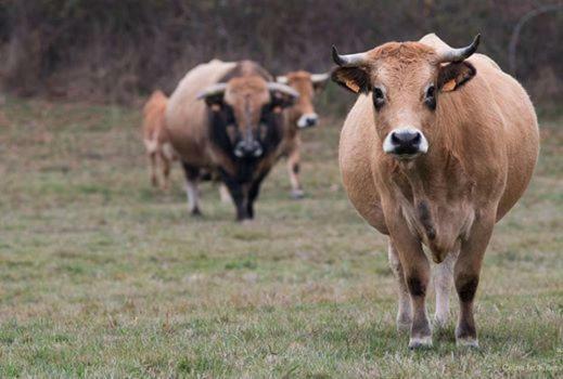 Petit Gite A La Ferme Villa Rosnay  Exterior foto